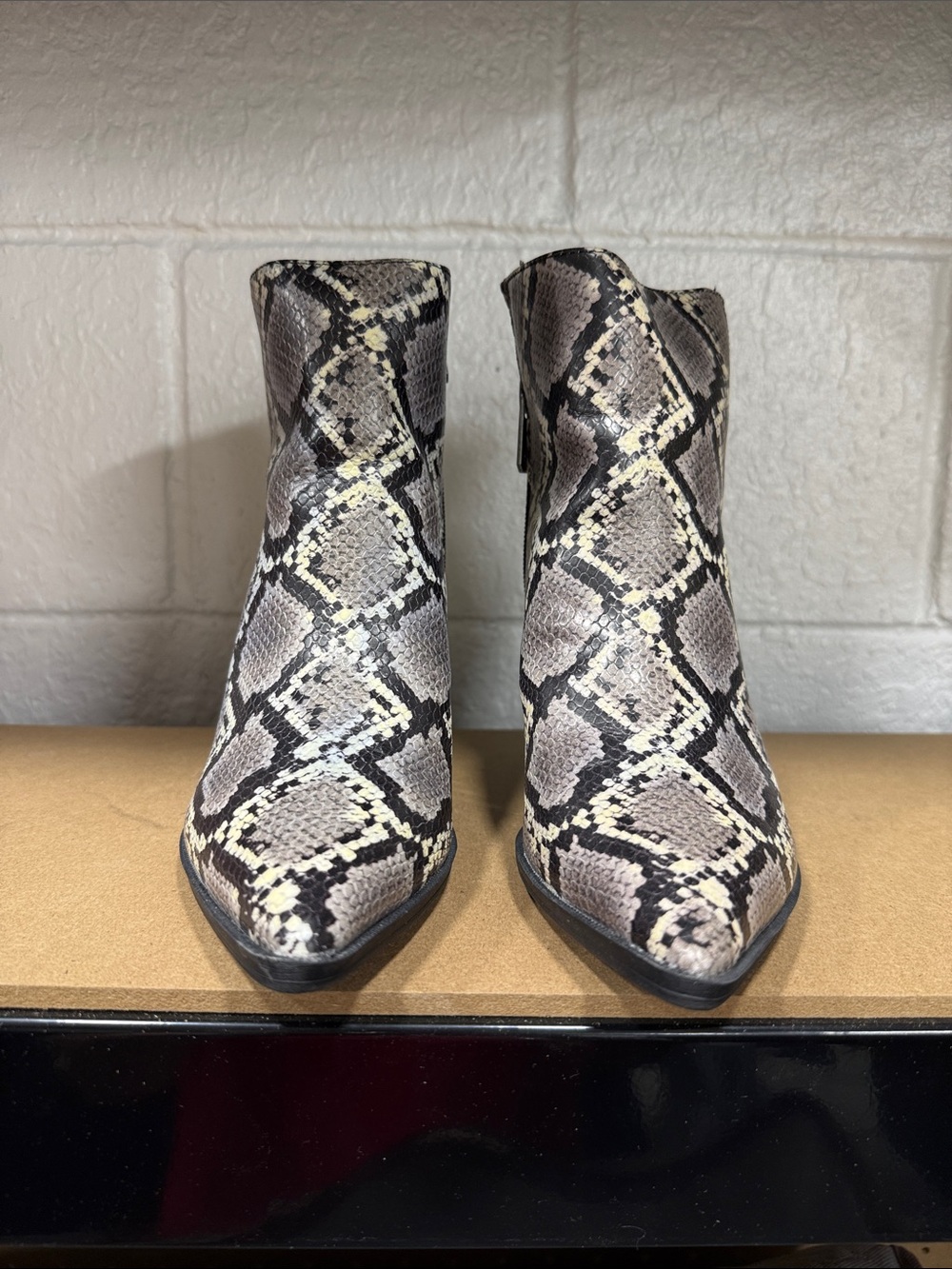 Circus by Sam Edelman Snake-Print Ankle Boots in Black and Cream